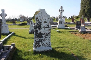 Feely Patrick Cloonshanville